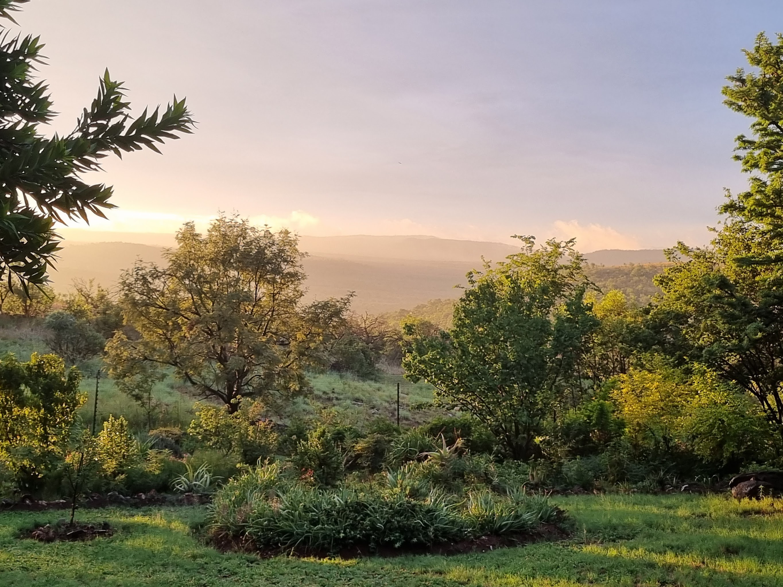 Sonnenuntergang über dem Hochveld im Krokodilfluss-Naturschutzgebiet, Gauteng, Südafrika