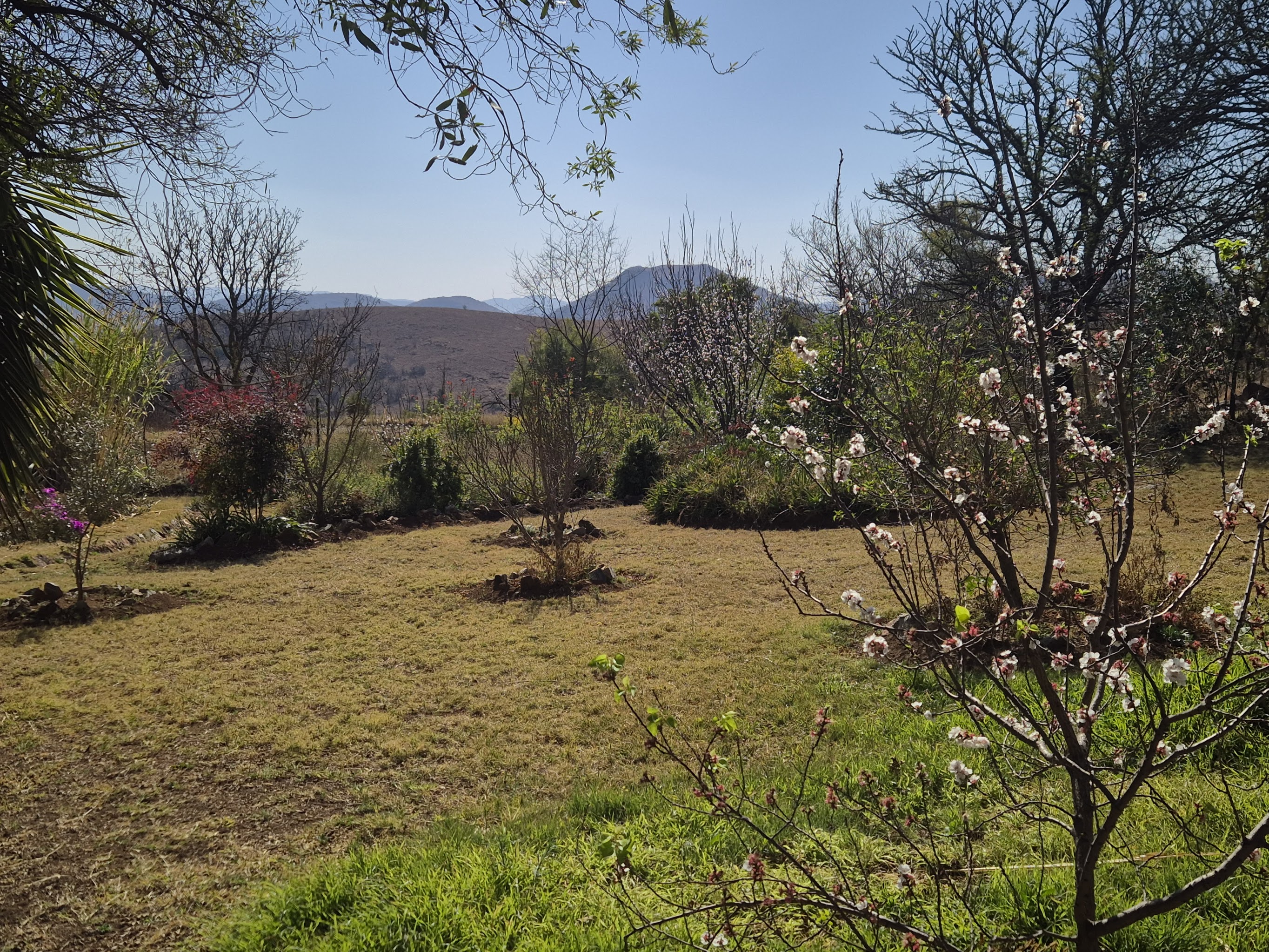Weite Aussicht über das Hochveld mit den Magaliesbergen im Hintergrund
